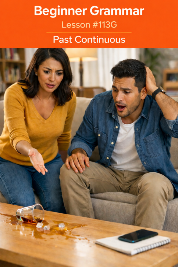 grammar #113 Past Continuous